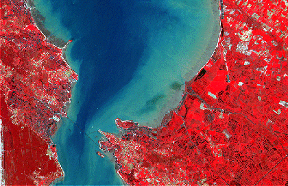 Image satellite en couleur de l'le d'Oléron